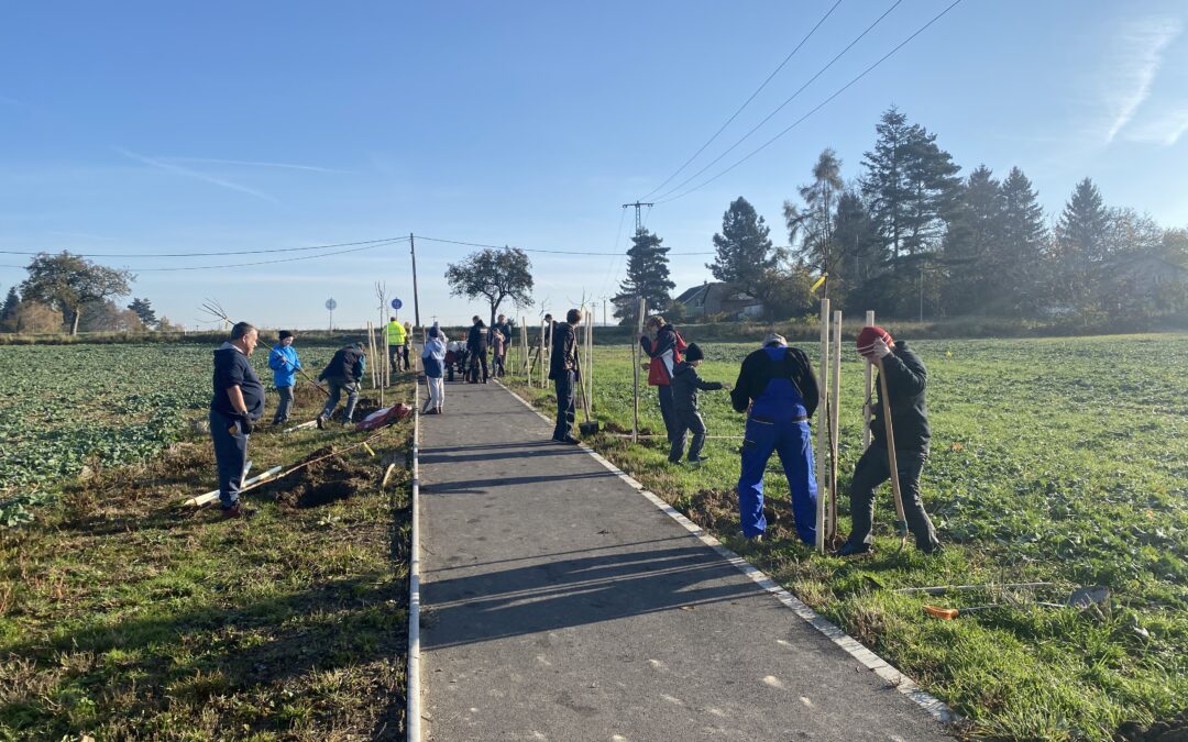 Sázeli jsme stromy na Ryjence